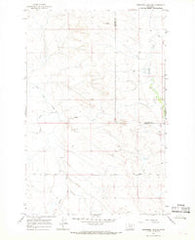 Hedstrom Lake NW Montana Historical topographic map, 1:24000 scale, 7.5 X 7.5 Minute, Year 1965
