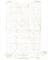 Hedstrom Lake NW Montana Historical topographic map, 1:24000 scale, 7.5 X 7.5 Minute, Year 1965