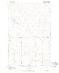 Hedstrom Lake Montana Historical topographic map, 1:24000 scale, 7.5 X 7.5 Minute, Year 1965
