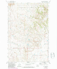 Hell Hollow Montana Historical topographic map, 1:24000 scale, 7.5 X 7.5 Minute, Year 1971