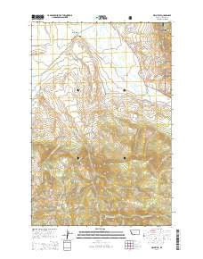 Helmville Montana Current topographic map, 1:24000 scale, 7.5 X 7.5 Minute, Year 2014