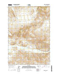 Henry Gulch Montana Current topographic map, 1:24000 scale, 7.5 X 7.5 Minute, Year 2014
