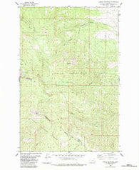 Hewolf Mountain Montana Historical topographic map, 1:24000 scale, 7.5 X 7.5 Minute, Year 1984