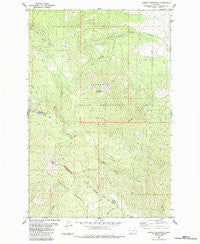 Hewolf Mountain Montana Historical topographic map, 1:24000 scale, 7.5 X 7.5 Minute, Year 1984