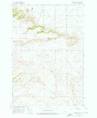 Hickson Ranch Montana Historical topographic map, 1:24000 scale, 7.5 X 7.5 Minute, Year 1956