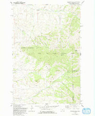 Highwood Baldy Montana Historical topographic map, 1:24000 scale, 7.5 X 7.5 Minute, Year 1979