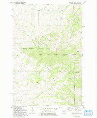 Highwood Baldy Montana Historical topographic map, 1:24000 scale, 7.5 X 7.5 Minute, Year 1979