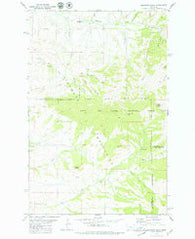 Highwood Baldy Montana Historical topographic map, 1:24000 scale, 7.5 X 7.5 Minute, Year 1979