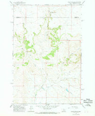 Hole-In-The-Rock Montana Historical topographic map, 1:24000 scale, 7.5 X 7.5 Minute, Year 1965