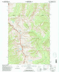 Holland Peak Montana Historical topographic map, 1:24000 scale, 7.5 X 7.5 Minute, Year 1994