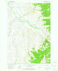 Home Park Ranch Montana Historical topographic map, 1:24000 scale, 7.5 X 7.5 Minute, Year 1963