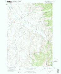 Home Park Ranch Montana Historical topographic map, 1:24000 scale, 7.5 X 7.5 Minute, Year 1963