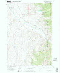 Home Park Ranch Montana Historical topographic map, 1:24000 scale, 7.5 X 7.5 Minute, Year 1963