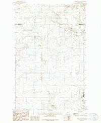 Homestead NW Montana Historical topographic map, 1:24000 scale, 7.5 X 7.5 Minute, Year 1983