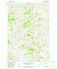 Hope Ranch Montana Historical topographic map, 1:24000 scale, 7.5 X 7.5 Minute, Year 1960