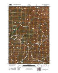 Horse Creek Pass Montana Historical topographic map, 1:24000 scale, 7.5 X 7.5 Minute, Year 2011