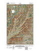 Horse Lake Montana Historical topographic map, 1:24000 scale, 7.5 X 7.5 Minute, Year 2011