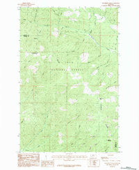 Horsehead Peak Montana Historical topographic map, 1:24000 scale, 7.5 X 7.5 Minute, Year 1983