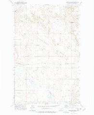 Horseshoe Basin Montana Historical topographic map, 1:24000 scale, 7.5 X 7.5 Minute, Year 1973