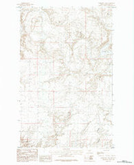 Horseshoe Lake Montana Historical topographic map, 1:24000 scale, 7.5 X 7.5 Minute, Year 1984