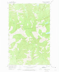 Horseshoe Peak Montana Historical topographic map, 1:24000 scale, 7.5 X 7.5 Minute, Year 1958