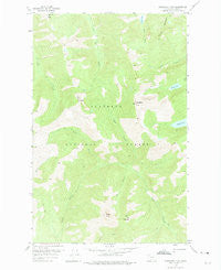 Horseshoe Peak Montana Historical topographic map, 1:24000 scale, 7.5 X 7.5 Minute, Year 1958
