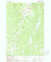 Hummingbird Peak Montana Historical topographic map, 1:24000 scale, 7.5 X 7.5 Minute, Year 1987
