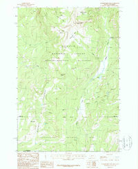 Hummingbird Peak Montana Historical topographic map, 1:24000 scale, 7.5 X 7.5 Minute, Year 1987