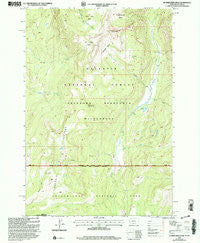 Hummingbird Peak Montana Historical topographic map, 1:24000 scale, 7.5 X 7.5 Minute, Year 2000