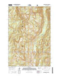 Hummingbird Peak Montana Current topographic map, 1:24000 scale, 7.5 X 7.5 Minute, Year 2014