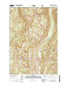 Hummingbird Peak Montana Current topographic map, 1:24000 scale, 7.5 X 7.5 Minute, Year 2014