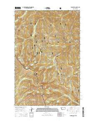 Illinois Peak Montana Current topographic map, 1:24000 scale, 7.5 X 7.5 Minute, Year 2014