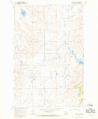 Indian Lake Montana Historical topographic map, 1:24000 scale, 7.5 X 7.5 Minute, Year 1965