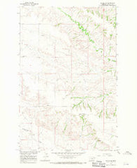 Intake NW Montana Historical topographic map, 1:24000 scale, 7.5 X 7.5 Minute, Year 1966