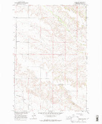 Intake NW Montana Historical topographic map, 1:24000 scale, 7.5 X 7.5 Minute, Year 1966