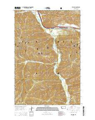 Iris Point Montana Current topographic map, 1:24000 scale, 7.5 X 7.5 Minute, Year 2014