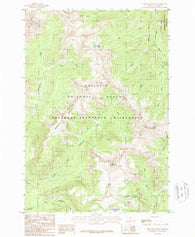 Iron Mountain Montana Historical topographic map, 1:24000 scale, 7.5 X 7.5 Minute, Year 1987