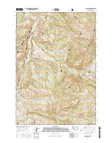 Iron Creek Montana Current topographic map, 1:24000 scale, 7.5 X 7.5 Minute, Year 2014