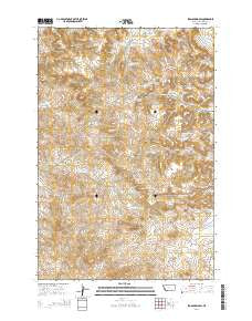 Iron Spring SW Montana Current topographic map, 1:24000 scale, 7.5 X 7.5 Minute, Year 2014