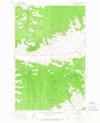 Irvine Lookout Tower Montana Historical topographic map, 1:24000 scale, 7.5 X 7.5 Minute, Year 1964