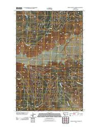 Irvine Lookout Tower Montana Historical topographic map, 1:24000 scale, 7.5 X 7.5 Minute, Year 2011