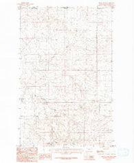 Irvins Coulee Montana Historical topographic map, 1:24000 scale, 7.5 X 7.5 Minute, Year 1984