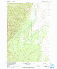 Isaac Meadows Montana Historical topographic map, 1:24000 scale, 7.5 X 7.5 Minute, Year 1966
