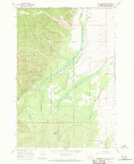Isaac Meadows Montana Historical topographic map, 1:24000 scale, 7.5 X 7.5 Minute, Year 1966