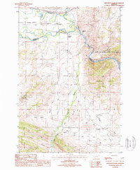 Jefferson Island Montana Historical topographic map, 1:24000 scale, 7.5 X 7.5 Minute, Year 1987