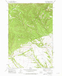 Jellison Place Montana Historical topographic map, 1:24000 scale, 7.5 X 7.5 Minute, Year 1972
