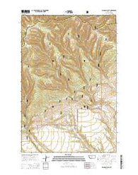 Jellison Place Montana Current topographic map, 1:24000 scale, 7.5 X 7.5 Minute, Year 2014