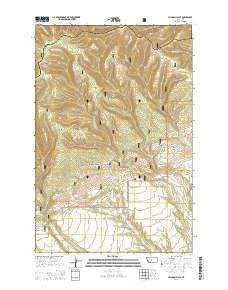 Jellison Place Montana Current topographic map, 1:24000 scale, 7.5 X 7.5 Minute, Year 2014