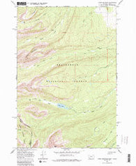 Jumbo Mountain Montana Historical topographic map, 1:24000 scale, 7.5 X 7.5 Minute, Year 1966