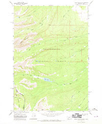 Jumbo Mountain Montana Historical topographic map, 1:24000 scale, 7.5 X 7.5 Minute, Year 1966